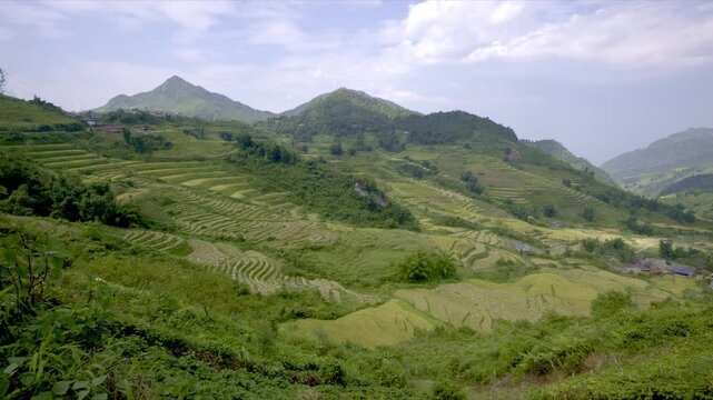 Sunny green rice terraces in Sapa with moving cloud shadows, Vietnam