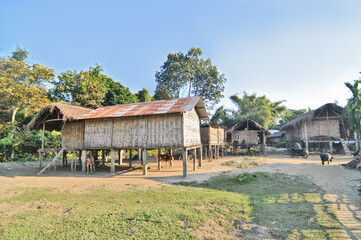 Landscape and villages on Majuli (also spelled Majoli)  the largest river island in Assam and the world's largest inland river island, a state in Northeast India.  © robnaw