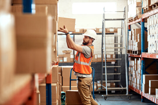 Man, box and shelf in warehouse for distribution, storage management and organizing for efficiency. Supervisor, package and order in facility for logistics, supply chain and stock control in business