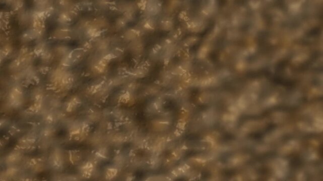 Brown textured pattern background. 2d animation