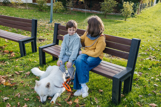 Girl, boy and white dog sitting on park bench