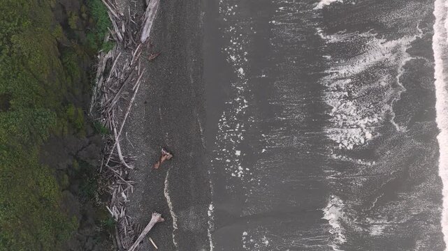 Top down drone view tracking waves breaking along a rugged dark pebble beach lined with weathered driftwood. Dense coastal vegetation borders the shore of Olympic National Park.