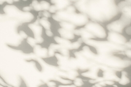 Abstract leaf shadow and light blurred background. Natural tropical plant leaves tree branch shadows sunlight on white wall texture for shadows overlay effect foliage mockup wallpaper and design