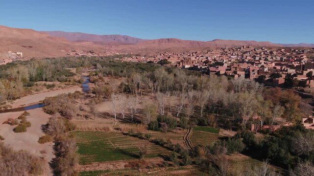 Elevated aerial shot showcasing bare deciduous trees and riparian woodland bordering a traditional hillside settlement in Todra Valley, Morocco.