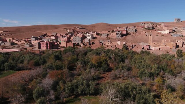Elevated aerial perspective focusing on the dense green canopy of date palms and olive trees bordering a traditional hillside village in Todra Valley, Morocco.