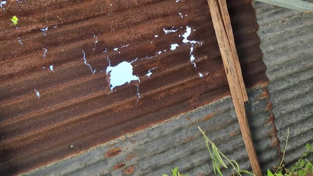 Old Rusted Corrugated Iron Roof Sheet with Holes and Sunlight