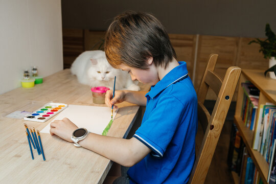 Boy painting with watercolors at home while white cat watches