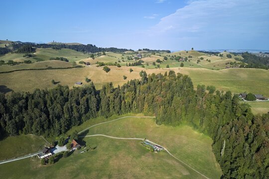 Parched, dry meadows in the Drumlin landscape, Sihlmatt in the foreground, hot summer 2026, Menzingen Canton of Zug, Switzerland