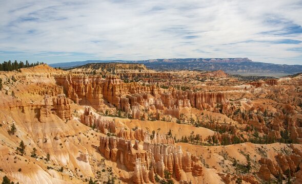 Bizarre rocky landscape with hoodoos, reddish sandstone formations, Bryce Canyon National Park, Utah, USA