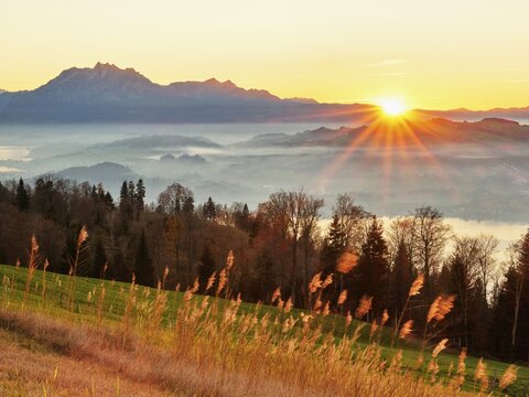 High moor at Zugerberg at sunset, Lake Zug with Pilatus in the background, Canton Zug, Switzerland