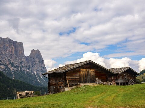 Alpine huts in front of the Sciliar, Punta Santner, Dolomites, Alpe di Siusi, South Tyrol, Italy