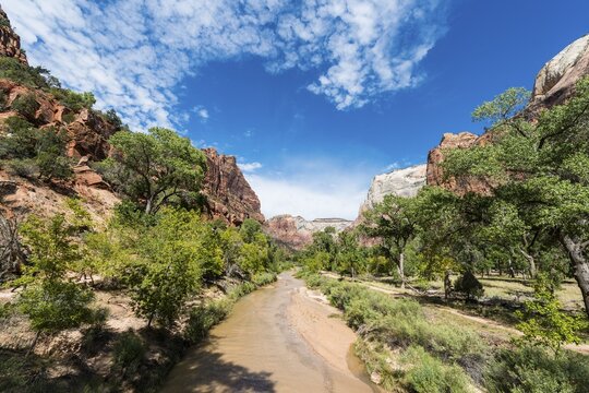 River Virgin River flowing through Zion National Park, Utah, USA