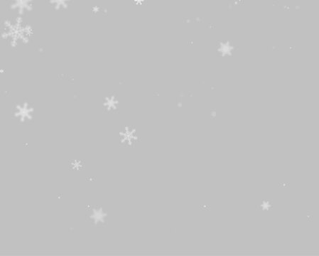 Delicate snowflakes softly fall against a stark black background. The white, intricate shapes vary in size and opacity with subtle blur effects. This serene scene is perfect for winter.