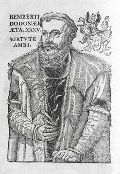 Rembert Dodoens (1516-1585), Flemish botanist and doctor, from A new herbal or historie of plants by Rembert Dodoens, London, England, 1578