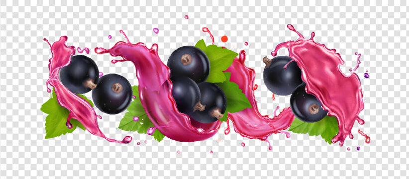 Realistic black currant berry with glossy skin and green leaves, in juice wave splash. Splashing transparent currant drink. 3d vector healthy eating, 3d