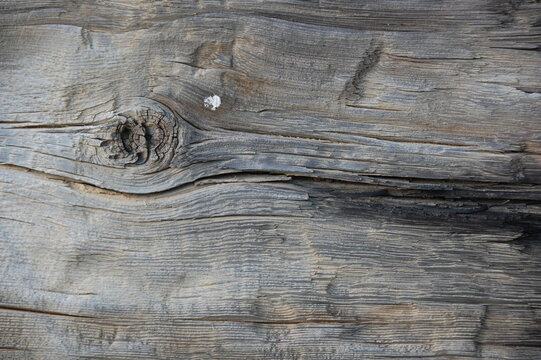 Close-up of aged weathered wooden planks with cracked, peeling, and rough natural grain. Gray and brown tones create a rustic, distressed surface texture suitable for backgrounds, vintage designs, con