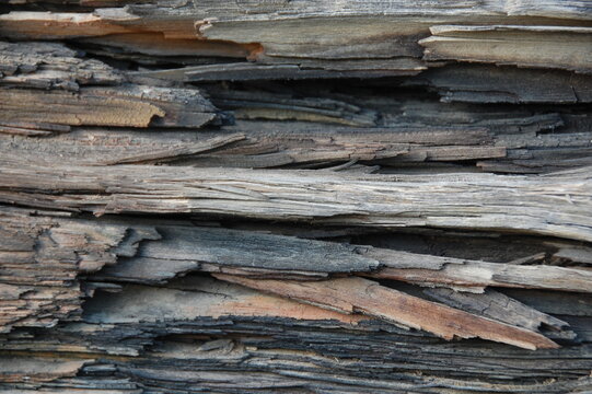Close-up of aged weathered wooden planks with cracked, peeling, and rough natural grain. Gray and brown tones create a rustic, distressed surface texture suitable for backgrounds, vintage designs, con