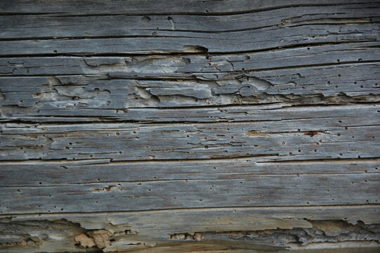 Close-up of aged weathered wooden planks with cracked, peeling, and rough natural grain. Gray and brown tones create a rustic, distressed surface texture suitable for backgrounds, vintage designs, con