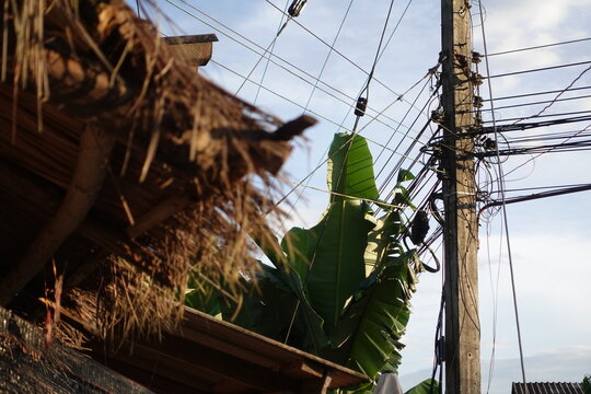 rustic composition featuring a traditional thatched roof in the foreground, vibrant green banana leaves, and a dense network of electrical power lines attached to a concrete utility pole against a pal