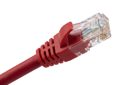 Red Ethernet Network Cable Connector Close Up