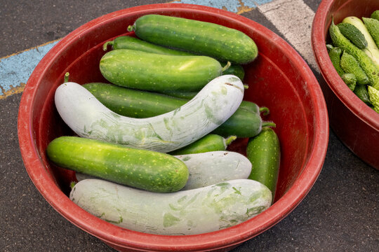 Fresh green wax gourds covered in natural white powder rest inside a red basin at a Korean market.