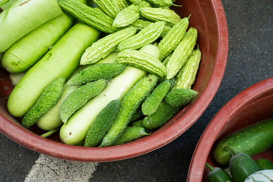 Fresh bumpy bitter melons and smooth green gourds rest inside a red plastic basin at a Korean market.
