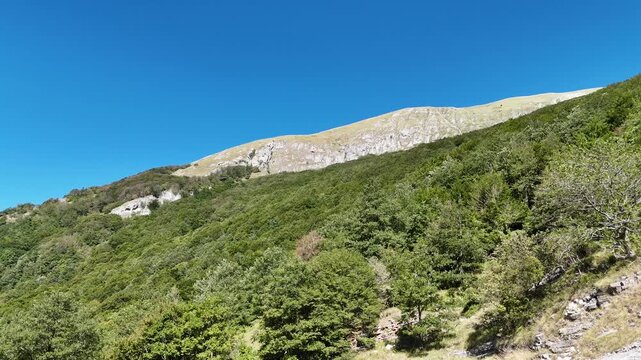Paesaggio montano con cresta rocciosa e fitta vegetazione sotto un cielo blu limpido