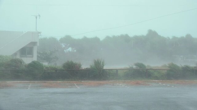 Powerful Hurricane Eyewall Brings Violent Winds To Coastal Location