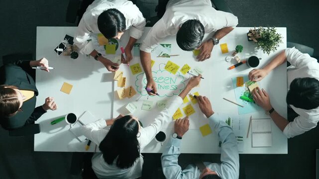 Time lapse of skilled business team working together to brainstorm environmental idea by using mind map. Aerial view of skilled manager talking and discussing about sustainable energy. Alimentation.