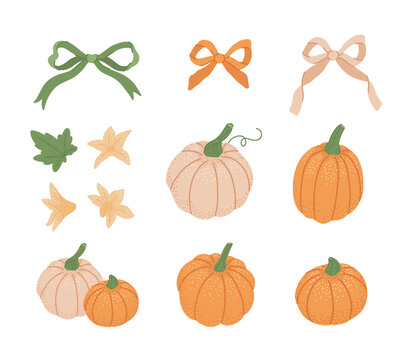 Fall set of elements beige and orange pumpkins vegetable, green leaf, flowers, colorful bows. Autumn holiday decorative clipart. Seasonal fruit. Halloween and Thanksgiving holidays. Flat vector