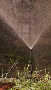 Vertical video. Garden Sprinkler Showers Tropical Grass and Palm Leaves with Glowing Water Droplets in Slow Motion, Plant Care and Irrigation