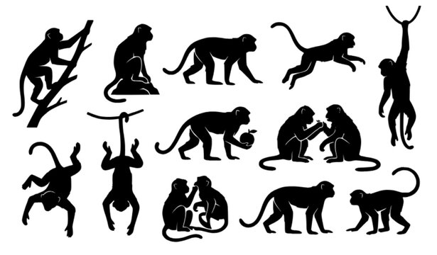 Wild Monkey Silhouette Poses Vector Icon Set Collection