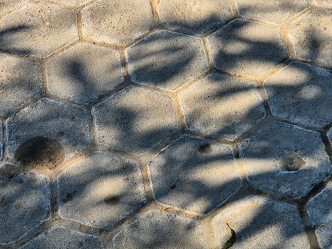 Tree shadow cast on hexagonal concrete paving blocks pattern outdoor
