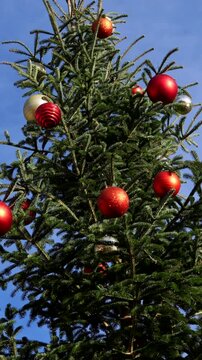 Green christmas tree decorated with red, gold, and silver baubles and ornaments standing outside against a clear blue sky, creating a festive holiday atmosphere on a sunny winter day