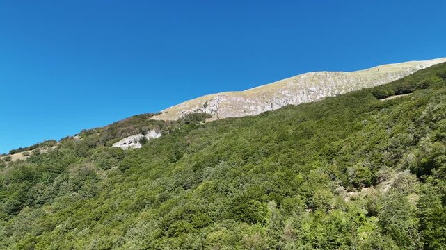 Paesaggio montano con cresta rocciosa e fitta vegetazione sotto un cielo blu limpido