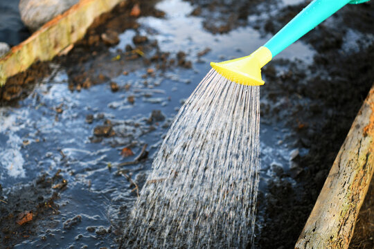  Close-up of watering soil in garden bed with watering can