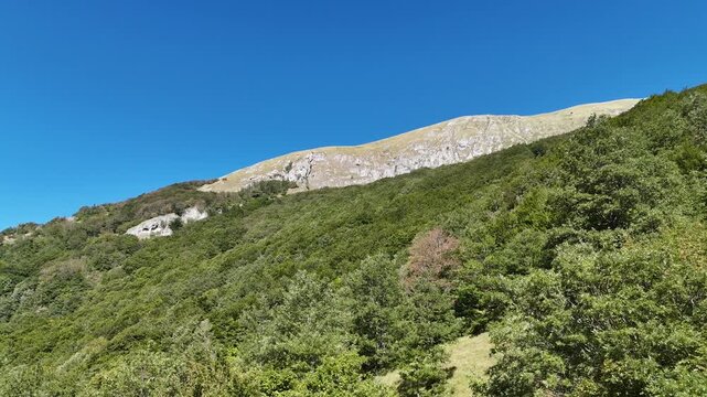 Paesaggio montano con cresta rocciosa e fitta vegetazione sotto un cielo blu limpido