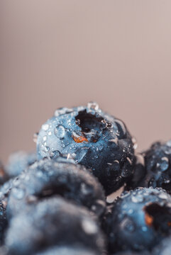 Fresh blueberries with water drops macro close up. Selective focus.