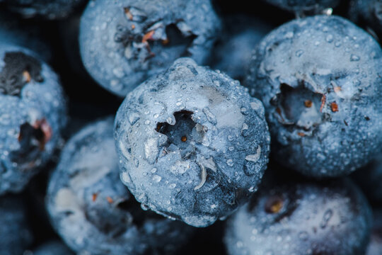 Fresh blueberries with water drops macro close up. Selective focus.