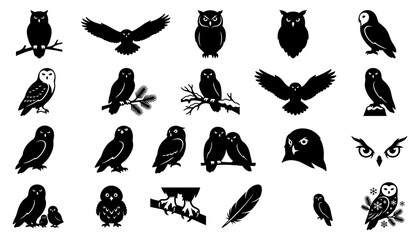 Fototapeta premium Owl Silhouettes Set with Various Poses, Branches, Feathers, and Close-Up Eyes