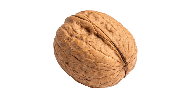 Whole natural raw walnut nut in shell kernel isolated on transparent background.