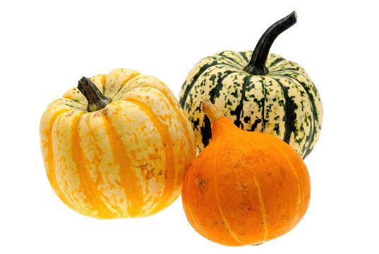 Three decorative gourds with colorful stripes and patterns