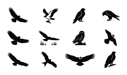 Fototapeta premium Silhouette Bird Icons, Raptor and Owl Vector Set, Wildlife and Avian Graphics Collection, Nature and Flight Symbols