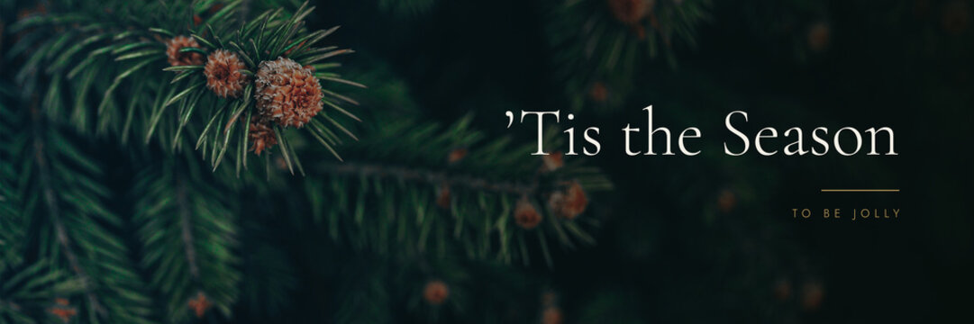 Real dark green spruce branches and the printed greeting "'Tis the Season". Pairs with a vintage and luxury christmas banner holiday background aesthetic with copy space.