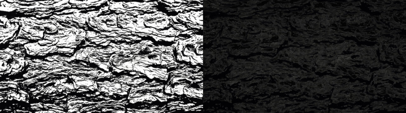 High contrast black and white tree bark texture, detailed rough wooden surface with organic cracked pattern for nature backdrop, abstract monochromatic wallpaper, graphic design element