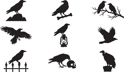 Fototapeta premium Black crow and vulture silhouette icons collection for graphic design