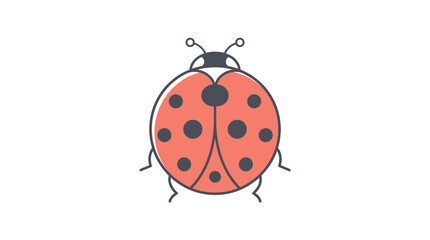 Fototapeta premium Ladybug Insect Red Spots.