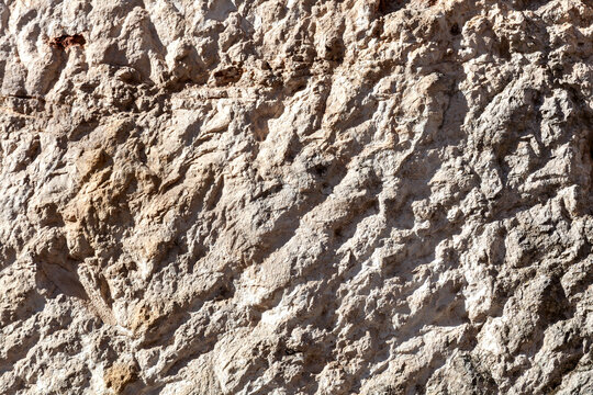 Close-up of sedimentary limestone showing diagenetic ridges, micro-crevices, mineral inclusions, and weathering-induced roughness.