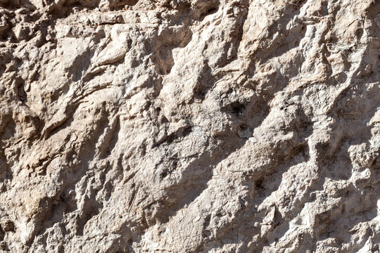 Highly porous carbonate rock surface with irregular ridges, micro-fractures, embedded particles, and erosional micro-topography.