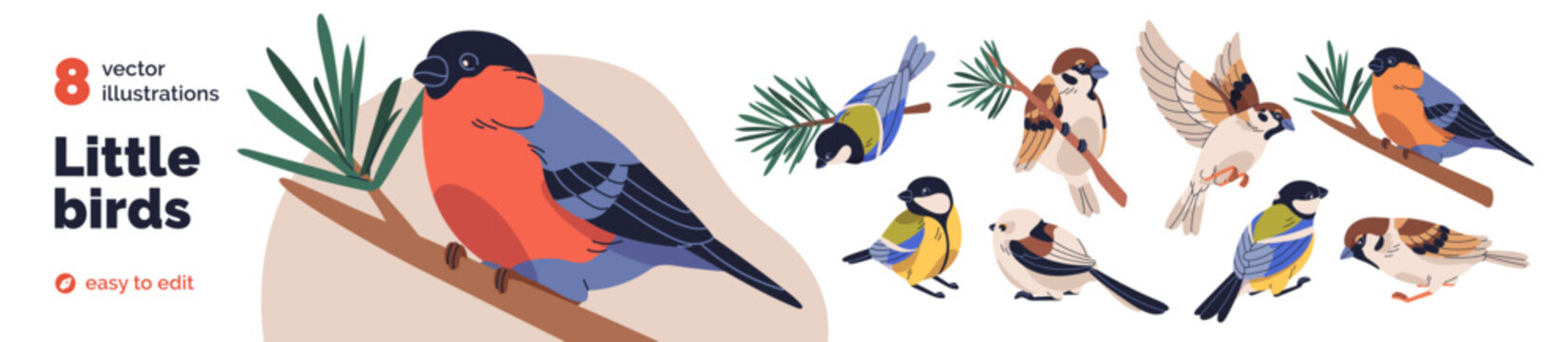 Winter birds set, vector sparrow, tit, bullfinch. Little birds species set. Sparrow flying, red bullfinch perched on tree branch, small tit. Tiny songbirds. Flat vector illustrations isolated on white